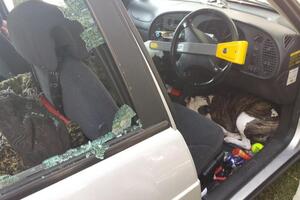 Policajci razbili prozore i spasili dehidriranog psa