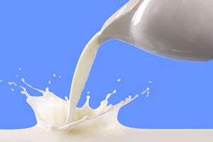 Samo kap mlijeka dovoljna je da smanji dejstvo antibiotika