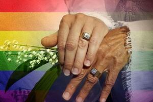 Guverner Ilinoisa potpisao zakon o gej brakovima