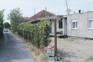 Jeleni Savojskoj neugledna ulica na perferiji Podgorice