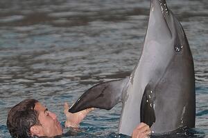 Kristijano Ronaldo se kupao sa delfinima
