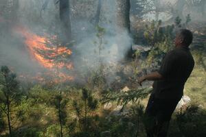Požar u Kolašinu, zahvaćeno 100 hektara šume