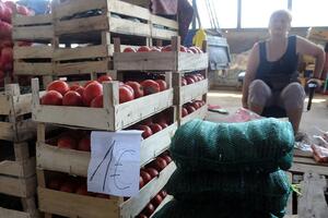 Postignut dogovor: Paradajz 0,22, a lubenica 0,12 eura po kilogramu