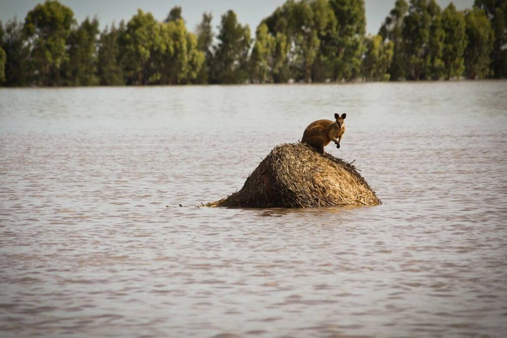 Poplave u Australiji, Foto: Vijesti online