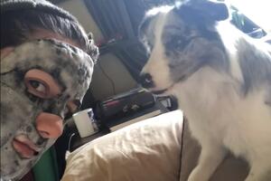 Pogledajte reakciju psa kad njegova vlasnica nanese masku za lice