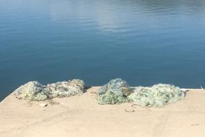 U NP Skadarsko jezero zaplijenjeno više od 150 ribolovnih mreža