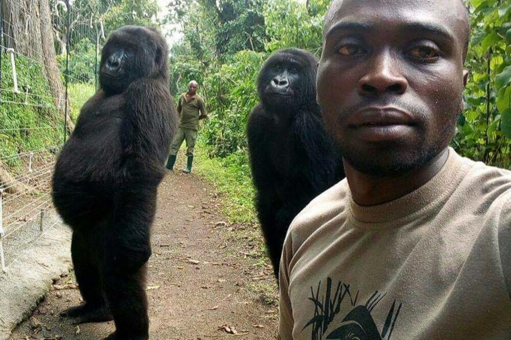 Jedna od fotografija iz Nacionalnog parka Virunga, Foto: Facebook.com