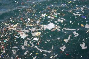 UN: 30 odsto riba otrovano plastikom, do 2050. u morima će biti...