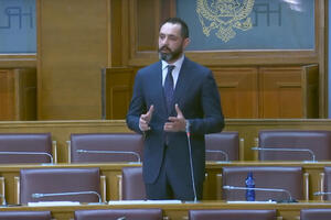 Radulović: Trpim pritisak pojedinih institucija zbog sprječavanja...