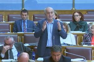 Bulatović: Zakonom se do detalja uvodi gubljenje suverenosti Crne...