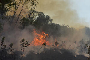 Amazonske zemlje sklopile savez protiv uništenja prašume