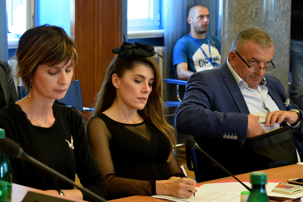 Usvojili zaključke o poslaničkom imunitetu: Sa sjednice Odbora, Foto: Luka Zeković