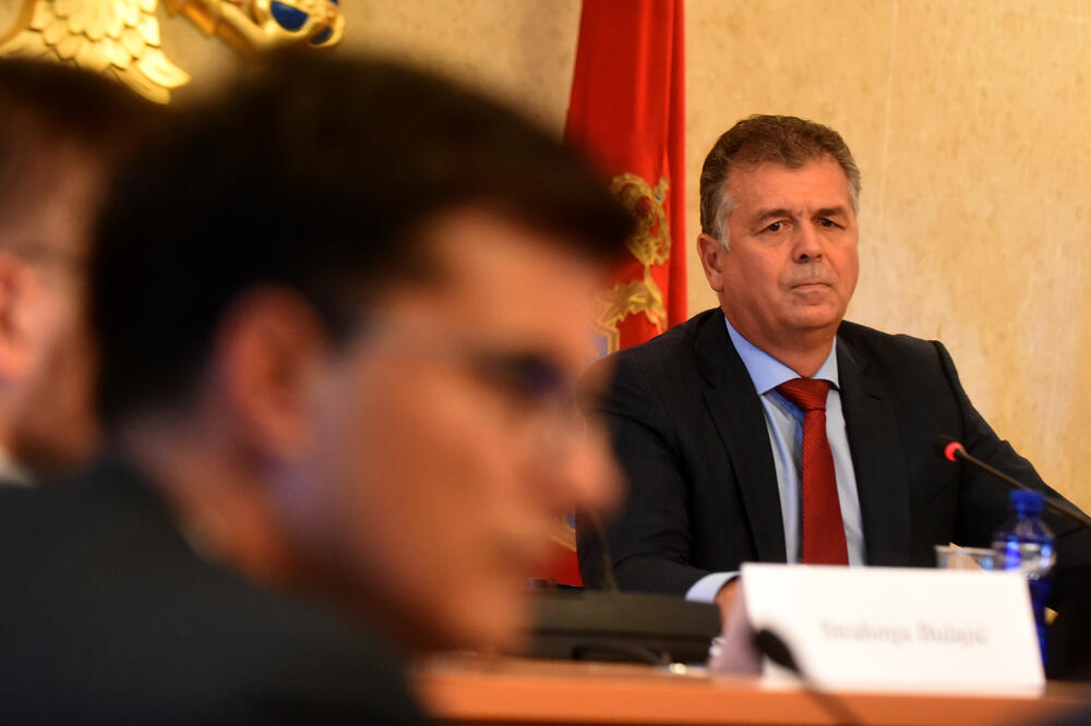 “Konsenzus je bolji, ali nije nužan”: Gvozdenović i članovi Odbora, Foto: Boris Pejović
