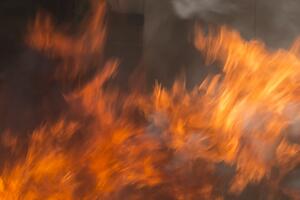 Nikšić: Požar u Gornjem Morakovu pod kontrolom