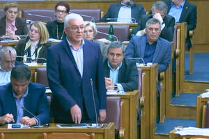 Mandić: Parlament bi gorio, da nije bilo mitropolita Amfilohija