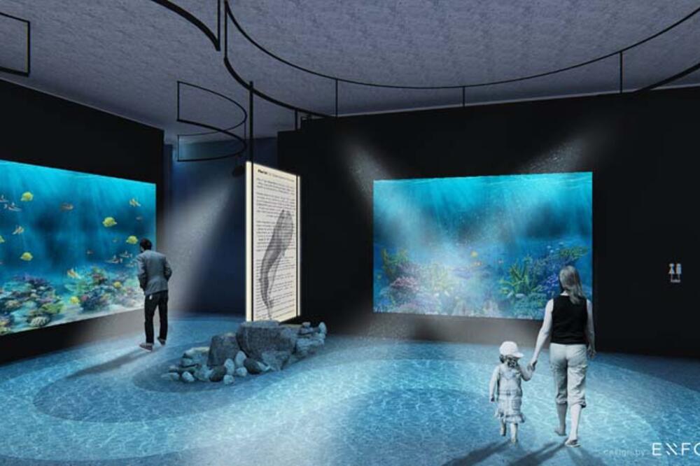 Jedan od prostorija budućeg Akvarijuma "Boka", Foto: Aquariumboka.ucg.ac.me