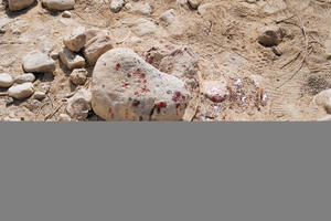 Devet rudara kamenovano na smrt u Južnoj Africi