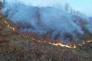 Lokalizovan požar na Crkvinama, vatrogasci gasili vatru 15 sati