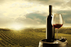 Posebna podrška vinarima za rast konkurentnosti i bolje...