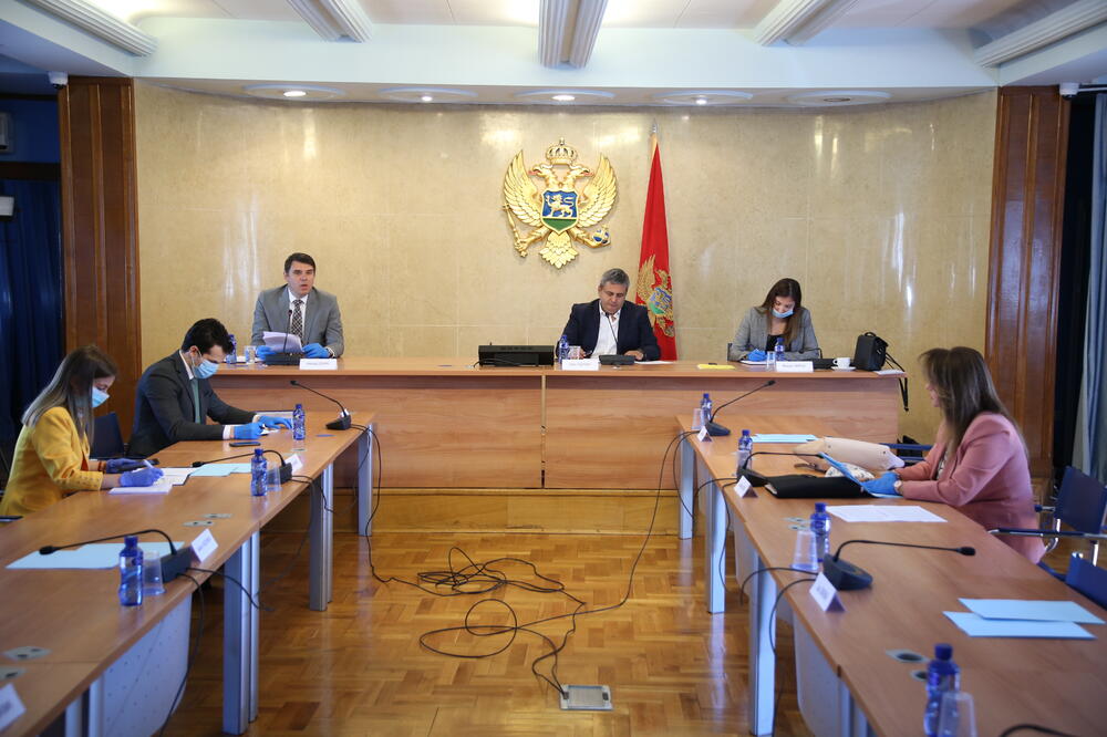 Drljević govori na Odboru za evropske integracije, Foto: Vlada Crne Gore