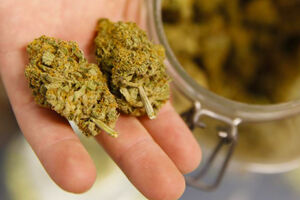 Pogledajte M tech: Može li marihuana biti lijek za koronu?