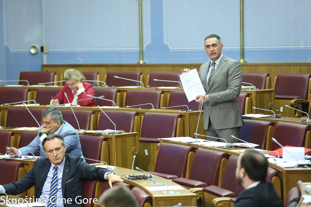 Damjanović danas u parlamentu, Foto: Igor Sljivančanin