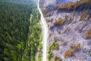 Ceh za sada 300.000 eura i 160 hektara opožarene šume