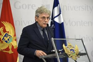 Raspopović: Samo su Crnogorci masovno započeli svenarodni rat...