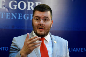Koprivica: DPS se uplašio izbora, NKT je instrument za...