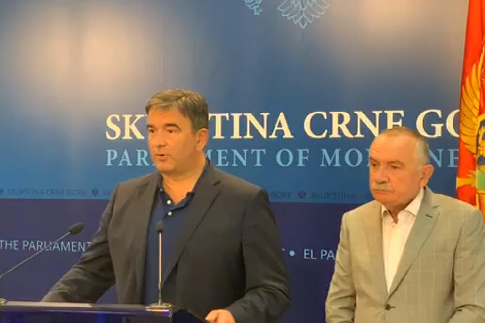 Medojević i njegov kolega iz PzP Branko Radulović na današnjoj konferenciji za medije, Foto: Printscreen