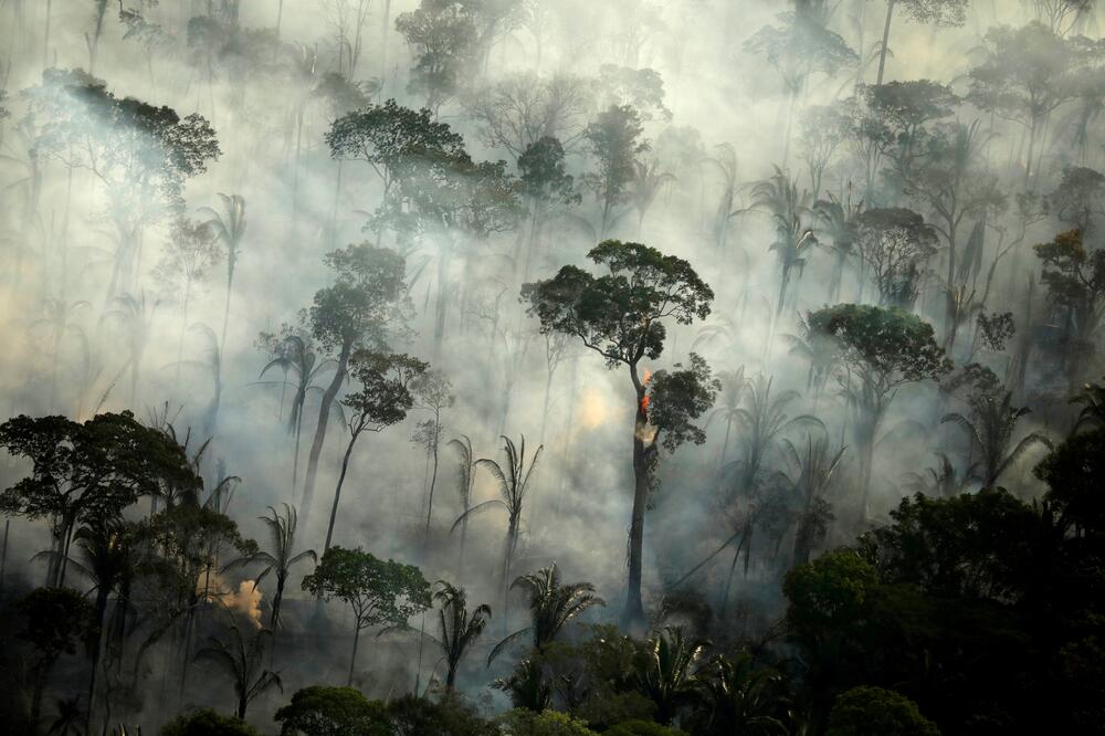 Samo u četvrtak sateliti snimili 1.007 požara u Amazoniji, Foto: Reuters