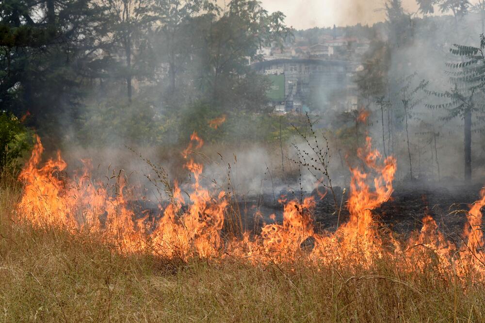 Vatrogasci u borbi sa vatrom na više lokacija, Foto: Boris Pejović