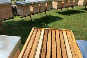 Podrška Ministarstva pčelarima u kriznoj situaciji