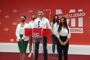 Petrović: SD je za smanjenje poreza i doprinosa