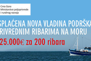 Ministarstvo poljoprivrede: Podrška ribarima od 225.000 eura