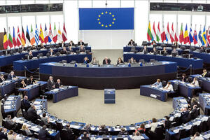 Po prvi put 67 evropskih poslanika podržalo jednu opozicionu listu