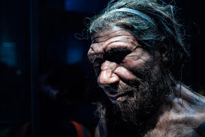 Najpoznatiji mitovi o neandertalcima