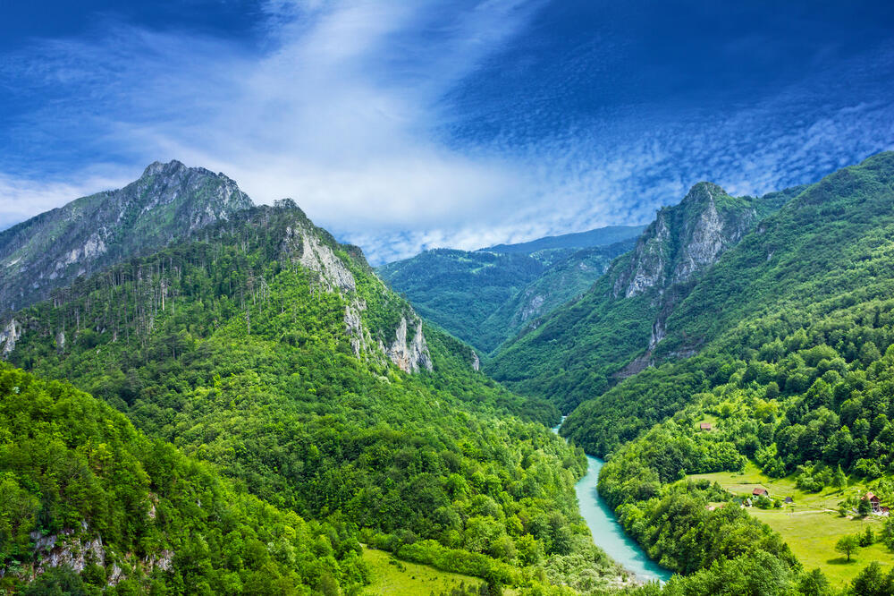 Rijeka Tara i šuma (Ilustracija), Foto: Shutterstock