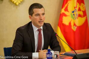Bečić: Crna Gora ima istorijsku obavezu da uloži napore u pravcu...