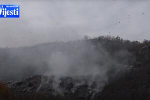 Još gori deponija u Nikšiću, ekolozi traže da se procesuiraju...