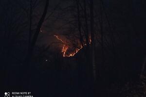 Kolašin: Požar u Ljutoj aktivan već tri dana, teren nepristupačan