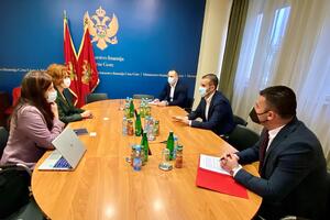 Gašparikova: UNDP će nastaviti da podržava CG u poboljšanju...