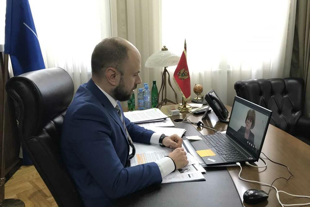 Online sastanak, Foto: Ministarstvo vanjskih poslova