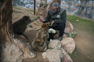 Jedini zoolški vrt u Grčkoj bez pomoći i prihoda: Kako nahraniti...
