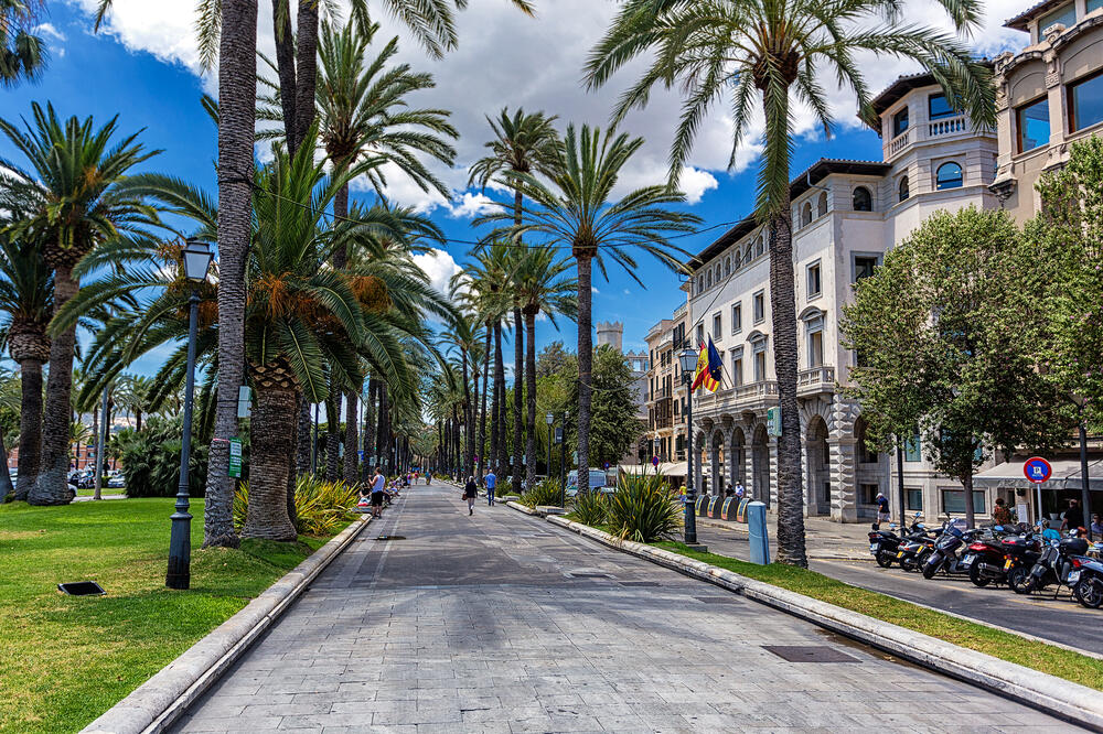 Palma de Majorka, Foto: Shutterstock