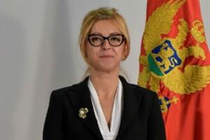 Pribilović: Vlada netransparentna, Krivokapić usporava put Crne...
