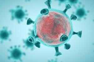 Koronavirus: Osam stvari koje smo naučili u protekloj godini...