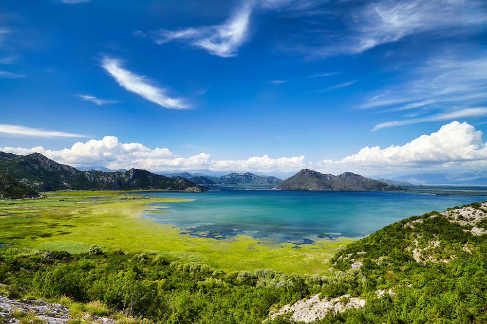 Skadarsko jezero, ilustracija, Foto: Shutterstock