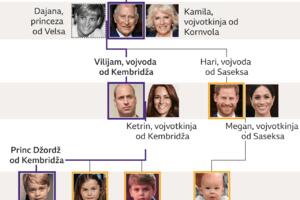 Kraljevsko porodično stablo i linija nasljedstva