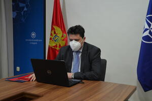 Pešić: Crna Gora posvećena suzbijanju hibridnih prijetnji
